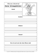 Pflanzensteckbriefvorlage-Schneeglöckchen-SW.pdf